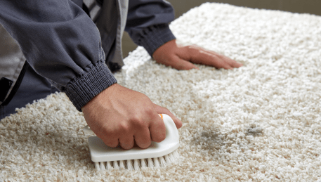 Professional Rug Cleaning Bulleen